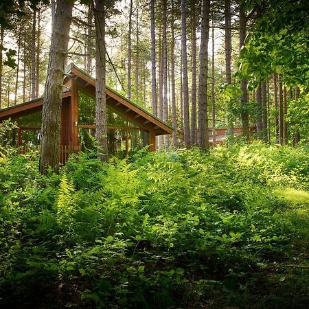 Blackwood Forest Cabins - Forest Holidays Popham المظهر الخارجي الصورة