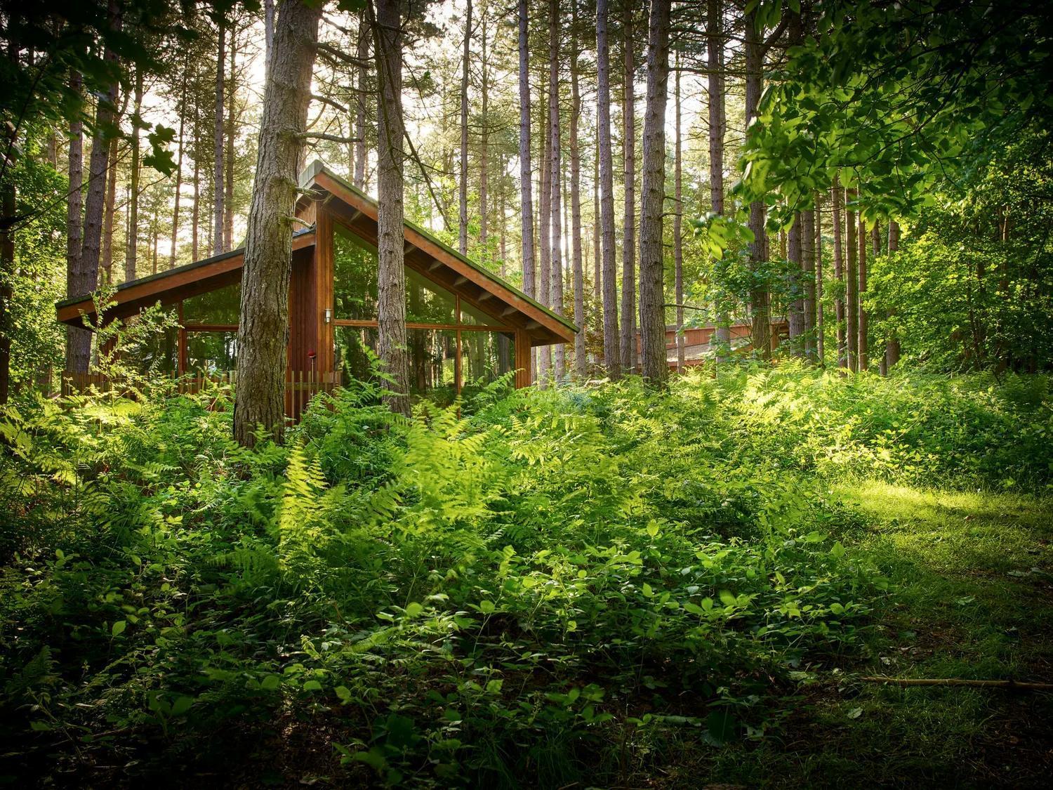 Blackwood Forest Cabins - Forest Holidays Popham المظهر الخارجي الصورة