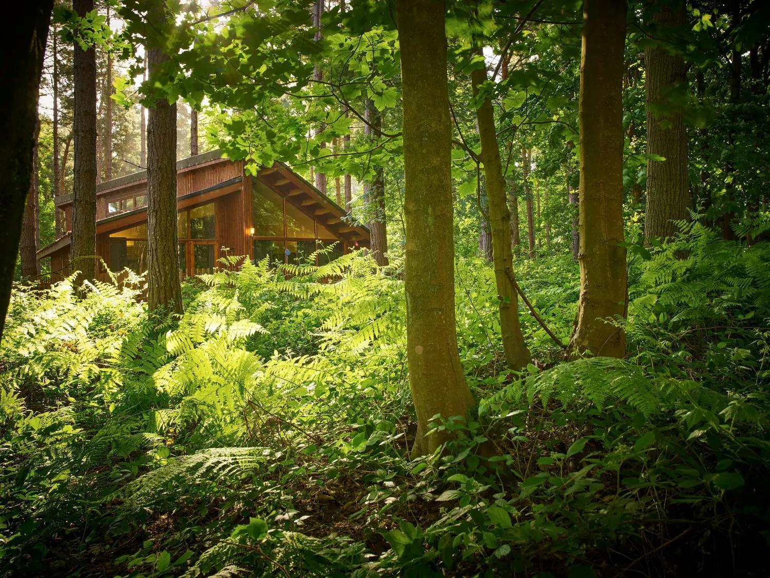 Blackwood Forest Cabins - Forest Holidays Popham المظهر الخارجي الصورة