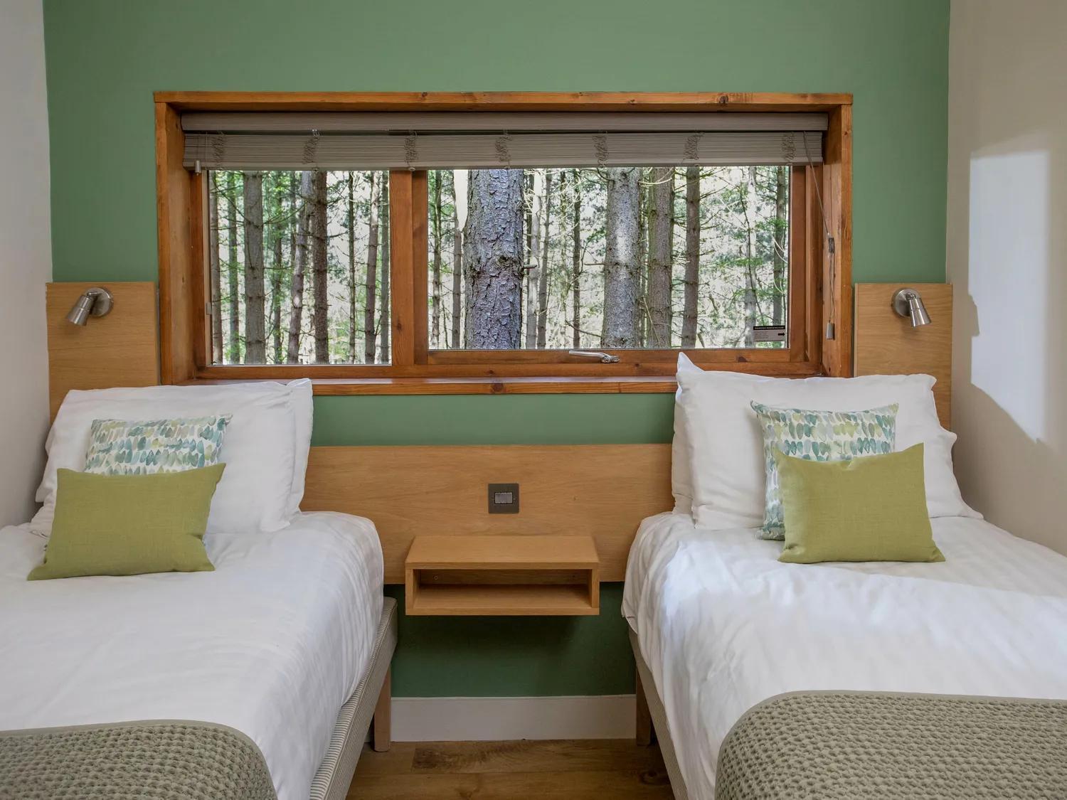 Blackwood Forest Cabins - Forest Holidays Popham المظهر الخارجي الصورة