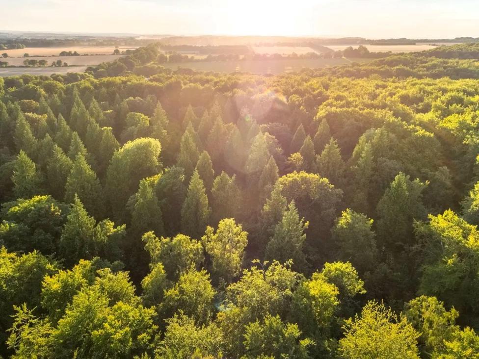 Blackwood Forest Cabins - Forest Holidays Popham المظهر الخارجي الصورة