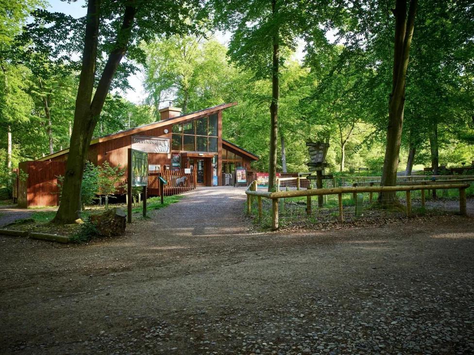 Blackwood Forest Cabins - Forest Holidays Popham المظهر الخارجي الصورة