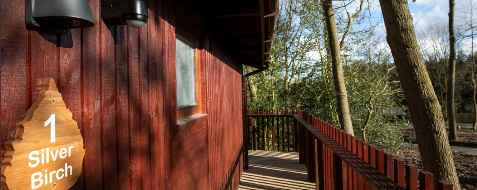 Blackwood Forest Cabins - Forest Holidays Popham المظهر الخارجي الصورة